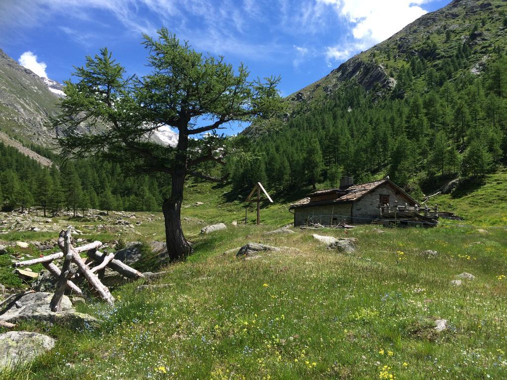 Chalet Sunstar Saas-Grund Εξωτερικό φωτογραφία