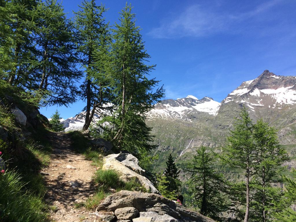 Chalet Sunstar Saas-Grund Εξωτερικό φωτογραφία