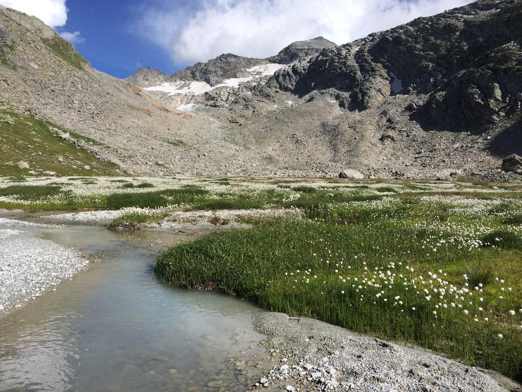 Chalet Sunstar Saas-Grund Εξωτερικό φωτογραφία