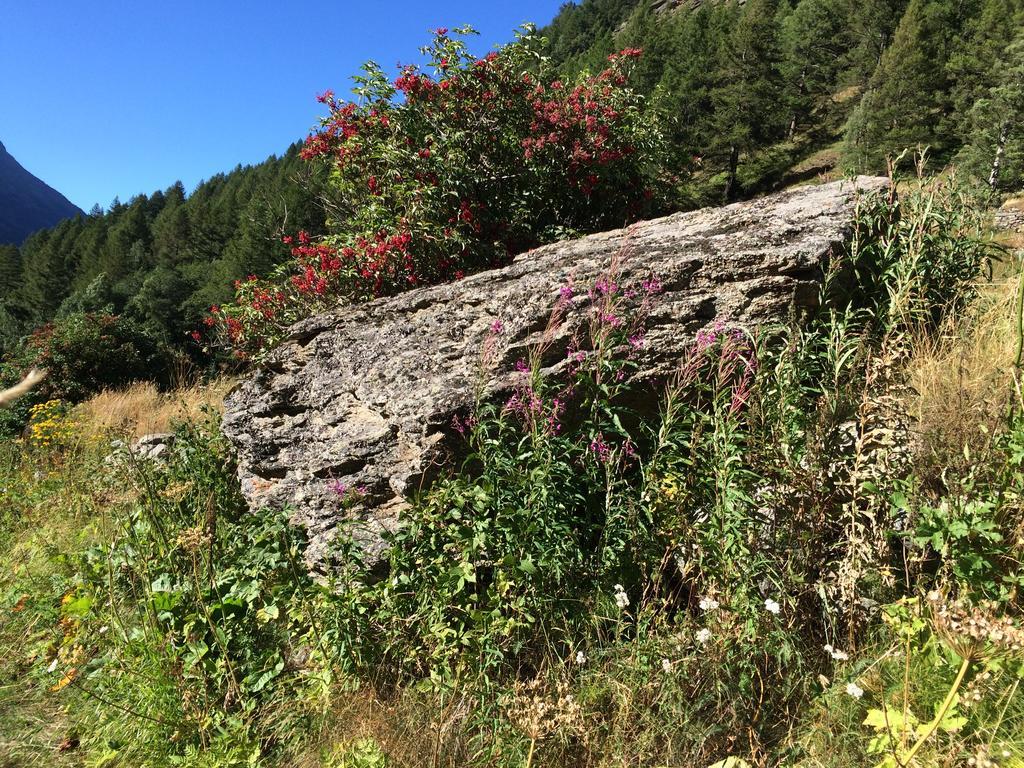 Chalet Sunstar Saas-Grund Εξωτερικό φωτογραφία