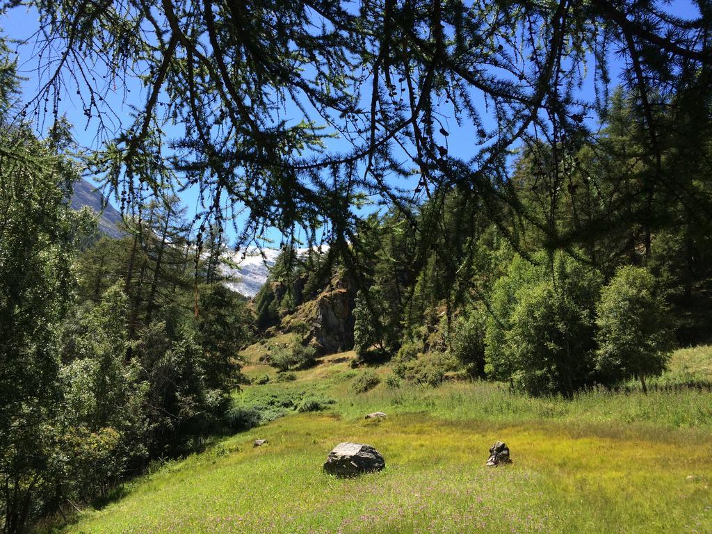 Chalet Sunstar Saas-Grund Εξωτερικό φωτογραφία
