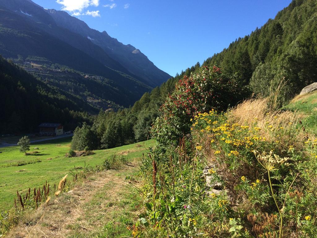 Chalet Sunstar Saas-Grund Εξωτερικό φωτογραφία